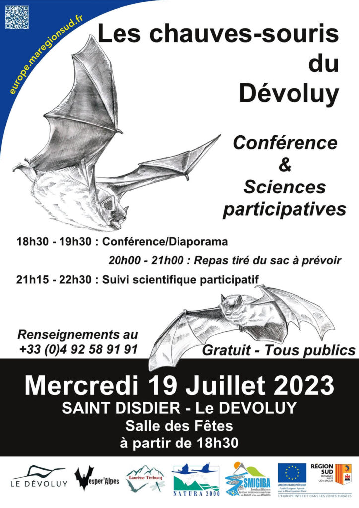 L'affiche présentant les sorties chiroptères