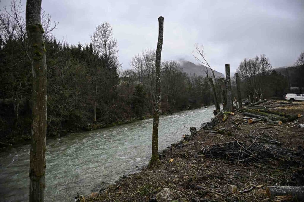 elagage-la-faurie-7