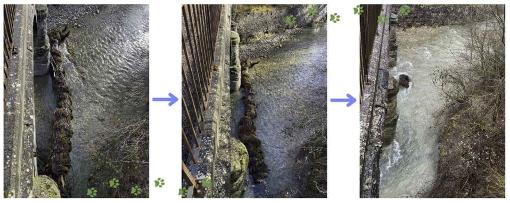Montage de trois photos prises depuis le bord de l'aqueduc montrant pour la première le tronc du peuplier bloqué contre deux piles de l'aqueduc, pour la seconde le peuplier tronçonné en plusieurs morceaux et pour la troisième un seul de ces tronçons restant entre deux arches.