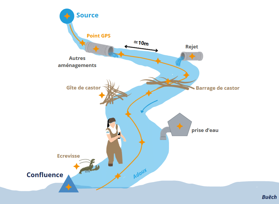 Schéma des données géoréférencées  récoltées sur le terrain soit les points GPS de la confluence et source; écrevisse; prise d'eau; gîte et barrage de castor; rejet et autres aménagements