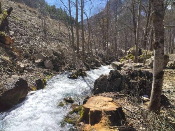 Travaux d&rsquo;entretien de la ripisylve du Buëch et de ses affluents : campagne 2026